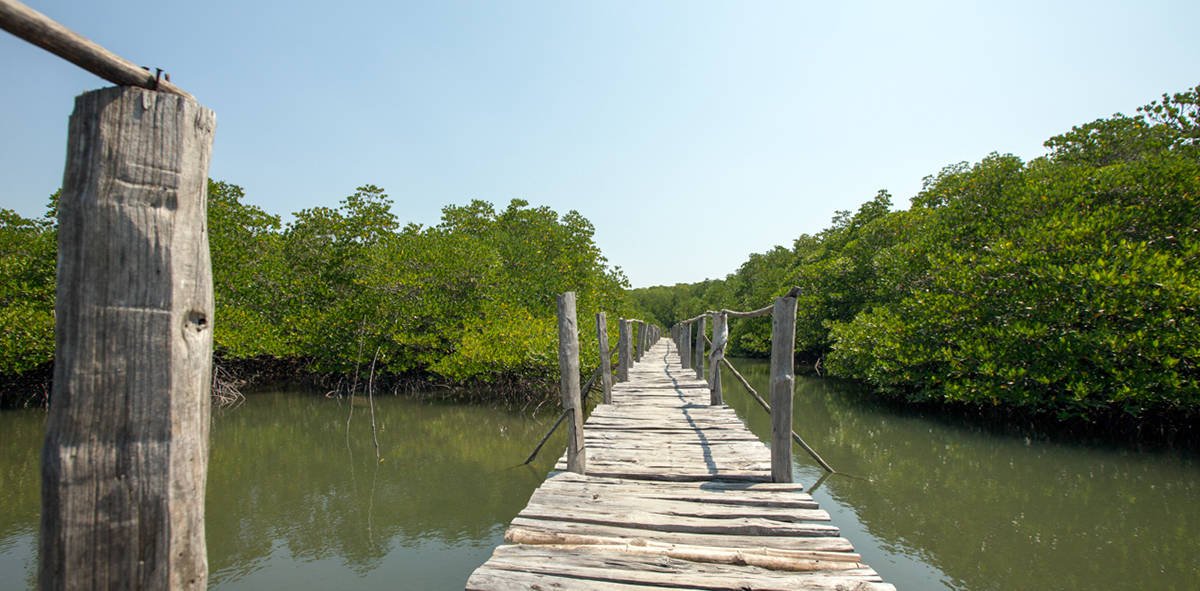 Northbay Island